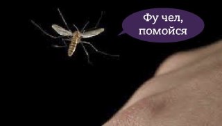 Биологи рассказали, почему комары кусают людей с разной частотой: https://lentach.media/JoGII