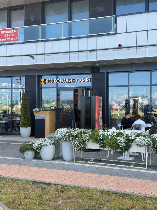 Эстетика монохромных садов Признаюсь честно, внутри меня уже который год борются две личности садовода-цветовода Одна выступает за яркие цвета те с... - изображение 1 - садов, яркие, петунии