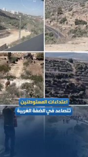 עוצמת ההתקפות של מיליציות מתנחלים על ערים וכפרים בגדה המערבית עולה מדרגה