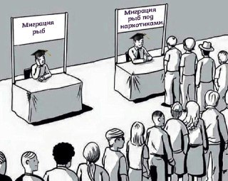 И к новостям науки. Кокаин ускорил миграцию сёмги, выяснили ученые: https://lentach.media/iGyrD