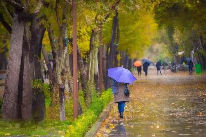 هواشناسی وخبر ♨️: پاییز زودهنگام از جمعه؛ شمال غرب و البرز میزبان سرما و بارندگیمحمد اصغری کارشناس هواشناسی:ساکنان و مسافران شهرهایی مثل ت