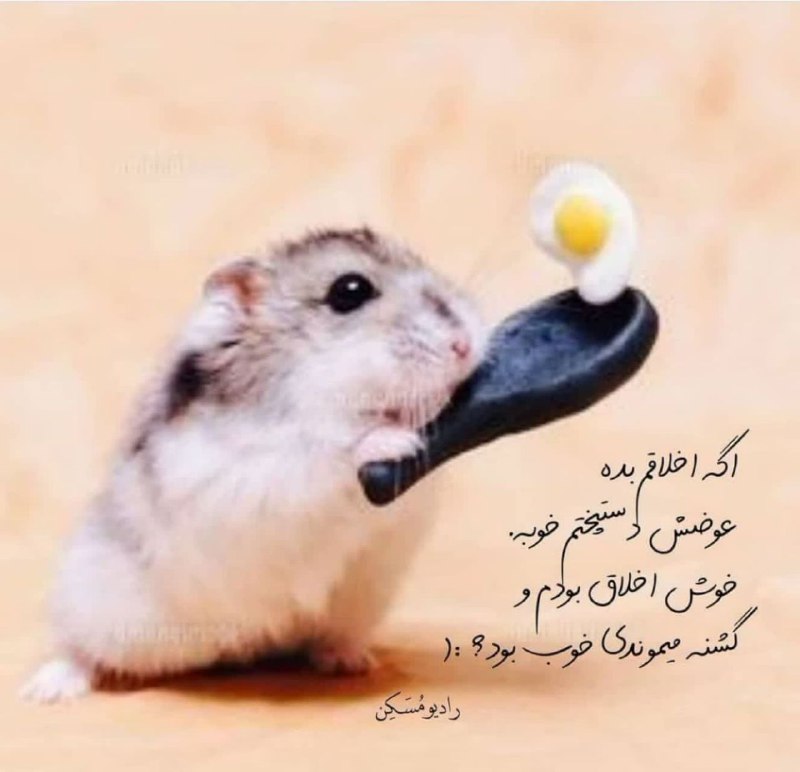 💞زندگی💞عاشقانه💞همسرانبهشتی👰: #خانمها_بخوانند 💟یکی از راههای ورود به قلب مرد، #شکم اوست😋😘🎂بنابراین کیک یا غذای مورد علاقهاش را بپزید. 🥪🍕☺️این باعث می