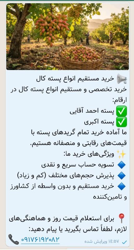 کانال خبری جابری️️️️️️: رسانه پست