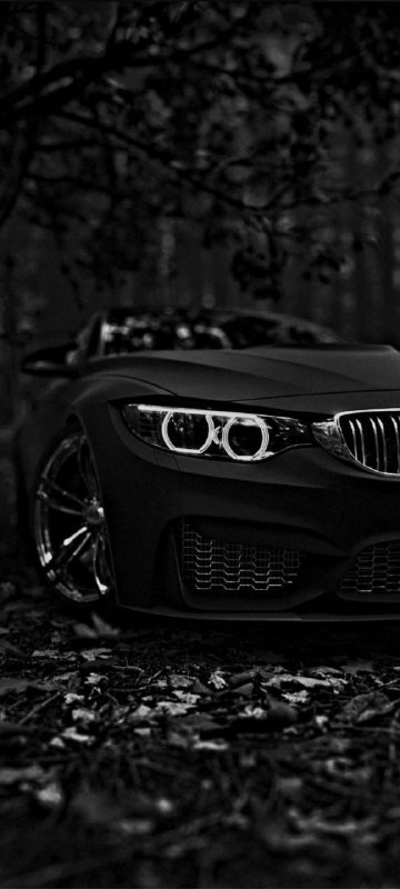https://t.me/bmw_mpower_club#bmw #mpower #bmwmpower #bmwworld #bmwmpowerclub #бм