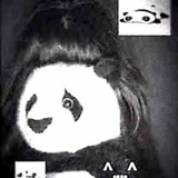Архив Лимонфы