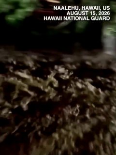 🇪🇸 A man wearing what appeared to be an official #Barcelona municipal security vest was filmed throwing punches and knees during a chaotic street brawl, while others were beaten with batons. Barcelona City Council later denied he was one of its employees.Follow main channel -> LiveLeak Follow private channel -> LiveLeak Private